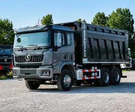 Самосвал Самосвал  Shacman X3000 (SX33186V366) 2024 года новый