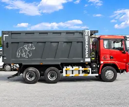 Самосвал Самосвал  Shacman X3000 (SX32586V384) 2024 года новый фото 3