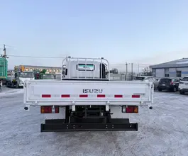 Бортовой Бортовой ISUZU Elf,  2025 года новый фото 2