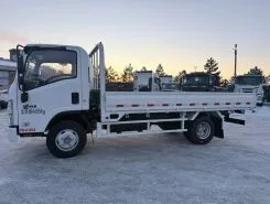 Бортовой Бортовой ISUZU Elf,  2025 года новый фото 3
