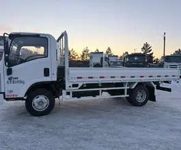 Бортовой Бортовой ISUZU Elf,  2025 года новый фото 3