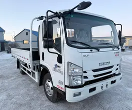 Бортовой Бортовой ISUZU Elf,  2025 года новый фото 4