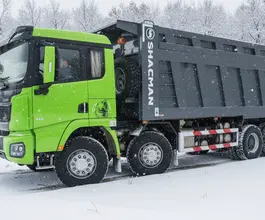 Самосвал Самосвал  Shacman X3000 (SX33186V366) 2023 года новый