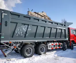 Самосвал Самосвал  Shacman SX331863366 2024 года новый фото 2