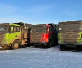 Самосвал Самосвал  Shacman X3000 2023 года новый фото 5
