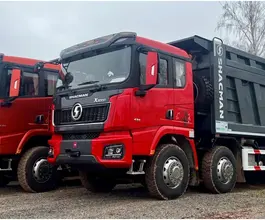 Самосвал Самосвал  Shacman X3000 (SX33186V366) 2024 года новый
