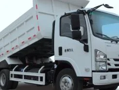 Самосвал Самосвал  ISUZU Elf 2025 года новый фото 5