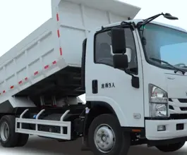Самосвал Самосвал  ISUZU Elf 2025 года новый фото 5