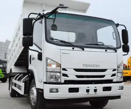 Самосвал Самосвал  ISUZU Elf 2025 года новый фото 2