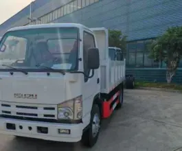 Самосвал Самосвал  ISUZU Elf 2025 года новый