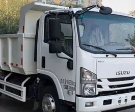 Самосвал Самосвал  ISUZU 700 P 2025 года новый фото 5
