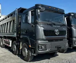 Самосвал Самосвал  Shacman X3000 (SX33186V366) 2024 года новый