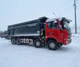 Самосвал Самосвал  Shacman X3000 (SX33186V366) 2024 года новый