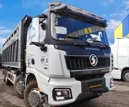 Самосвал Самосвал  Shacman X3000 (SX331863366) 2024 года новый фото 3