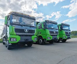 Самосвал Самосвал  Shacman X3000 (SX33186V366) 2023 года новый фото 4