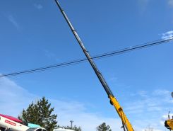 Объявление №265383 изображение 5