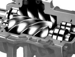 Объявление №266807 изображение 4