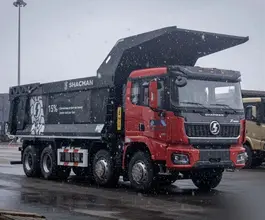 Самосвал Самосвал  Shacman X3000 2024 года новый фото 3