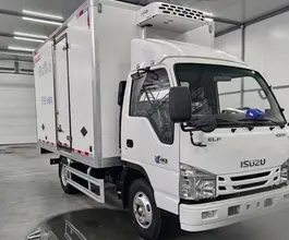 Рефрижератор Фургон  ISUZU 2026 года новый