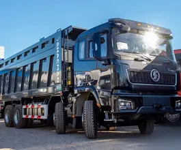 Самосвал Самосвал  Shacman X3000 2024 года новый фото 2