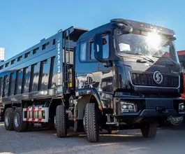 Самосвал Самосвал  Shacman X3000 2024 года новый фото 2