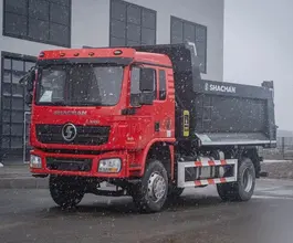 Самосвал Самосвал  Shacman L3000 2024 года новый