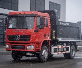 Самосвал Самосвал  Shacman L3000 2024 года б/у фото 5