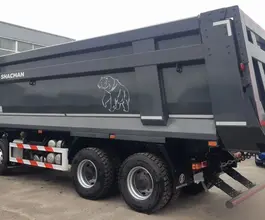 Самосвал Самосвал  Shacman X3000 2024 года новый фото 4
