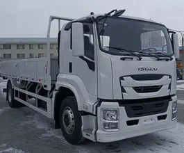 Бортовой Бортовой ISUZU GIGA (C-Series),  2026 года новый