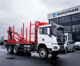 Лесовоз с КМУ Лесовоз    с КМУ  2024 года новый