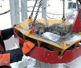 Навесное оборудование Cвaepезка (обрубщик свай) Ехten 1 2025 года новый фото 3