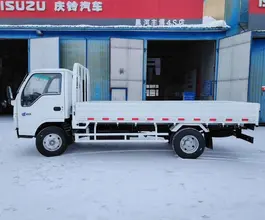 Бортовой Бортовой ISUZU Elf (N-series),  2026 года новый фото 2