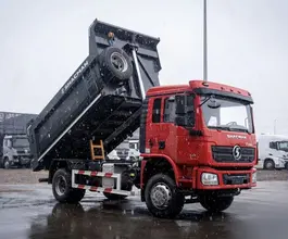 Самосвал Самосвал  Shacman L3000 2025 года новый фото 4
