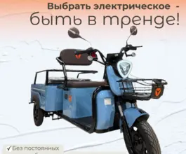 Трицикл грузовой Yadea F110B, 2026 2026 года новый фото 4