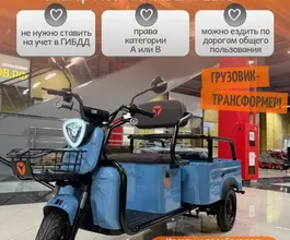 Трицикл грузовой Yadea F110B, 2026 2026 года новый фото 5