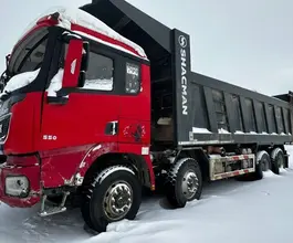 Самосвал Самосвал  SHACMAN SX331863366 2023 года б/у