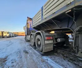 Полуприцеп-трал AMUR LYR9708TDP 2023 года б/у