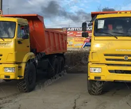 Самосвал  КАМАЗ 43118     2026 года новый фото 2