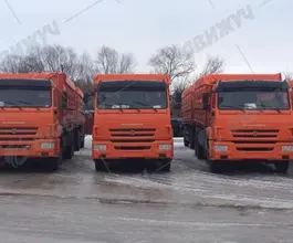 Самосвал  КАМАЗ 65115-50     2026 года новый фото 3