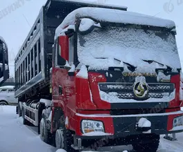 Самосвал  SHACMAN SX33186W366C     2026 года новый фото 4