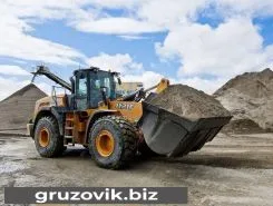 Фронтальный погрузчик Case 1121 F 2019 года б/у
