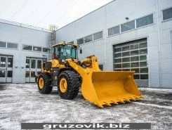 Фронтальный погрузчик SDLG LG953 2019 года б/у