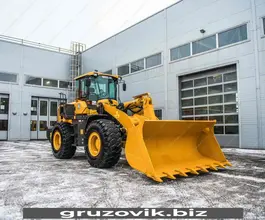 Фронтальный погрузчик SDLG LG953 2019 года б/у