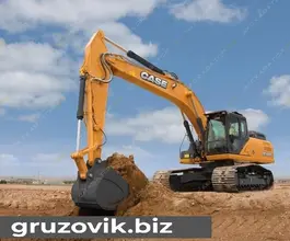Экскаватор Case CX300 2019 года б/у