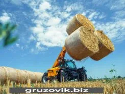 Телескопический погрузчик Dieci AGRI FARMER 30.7 2020 года новый