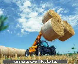 Телескопический погрузчик Dieci AGRI FARMER 30.7 2020 года новый