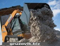 Фронтальный погрузчик Case TR 320 2020 года новый