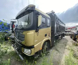 Самосвал Самосвал  Shacman SX331863366 2023 года б/у фото 4