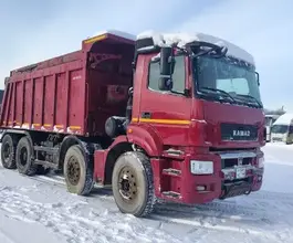 Самосвал Самосвал  Камаз 65801 2023 года б/у