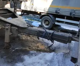Полуприцеп самосвальный РИАТ 85830F 2023 года б/у фото 3